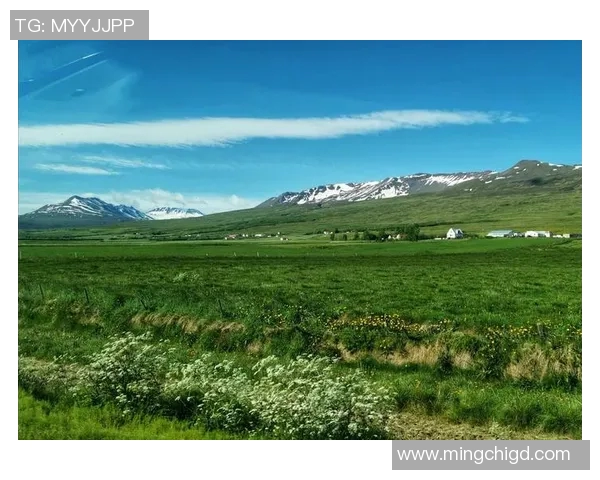 冰岛与罗马尼亚激战正酣比分揭晓精彩瞬间回顾