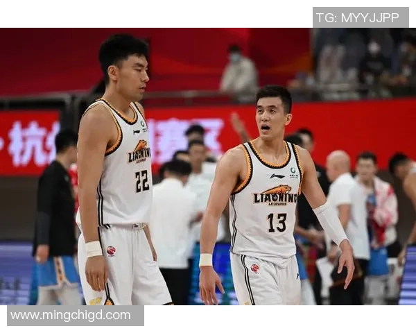 张镇麟的篮球之路：从青涩少年到CBA明星球员的成长故事